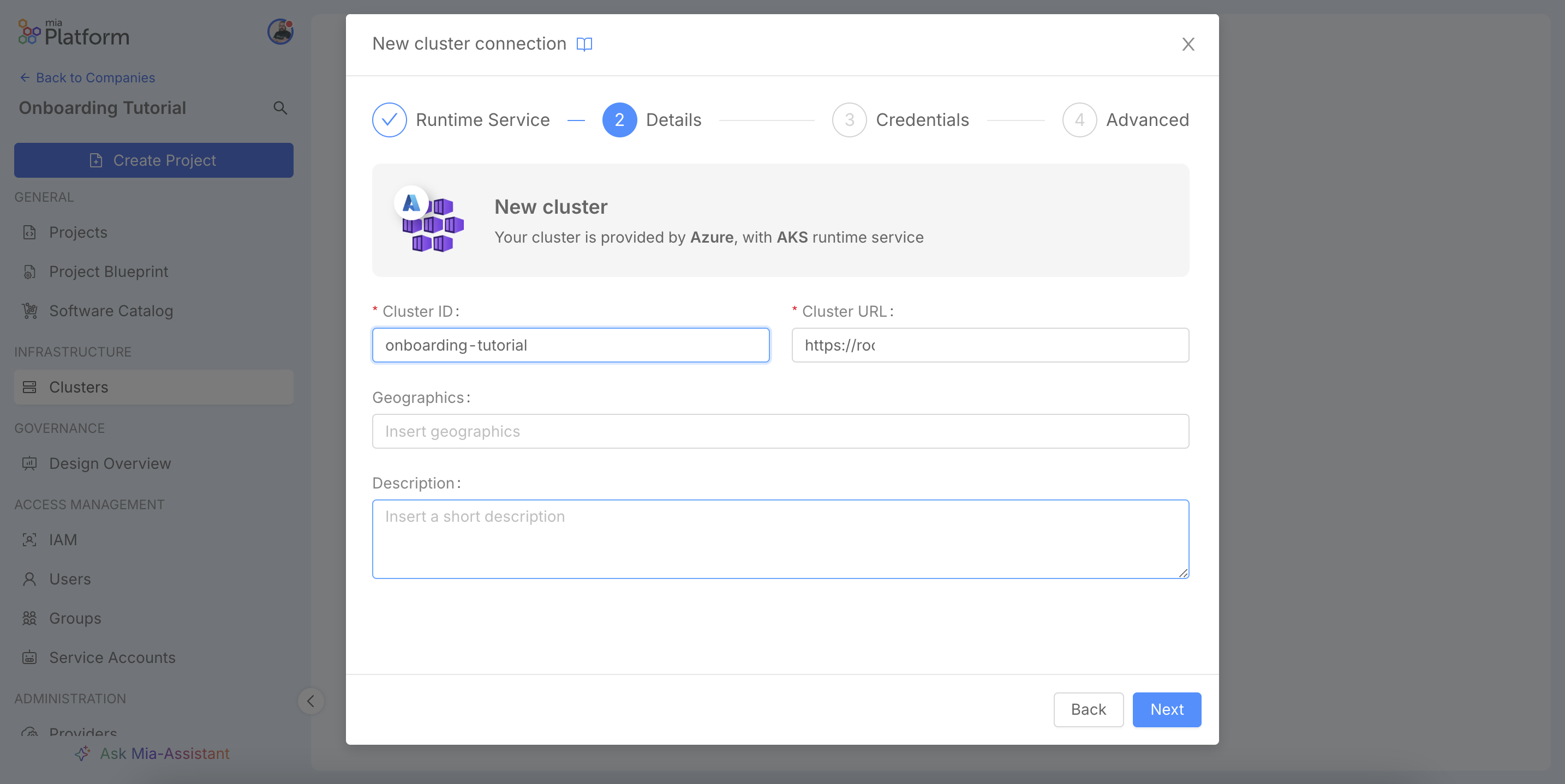 New cluster connection wizard, Details step.