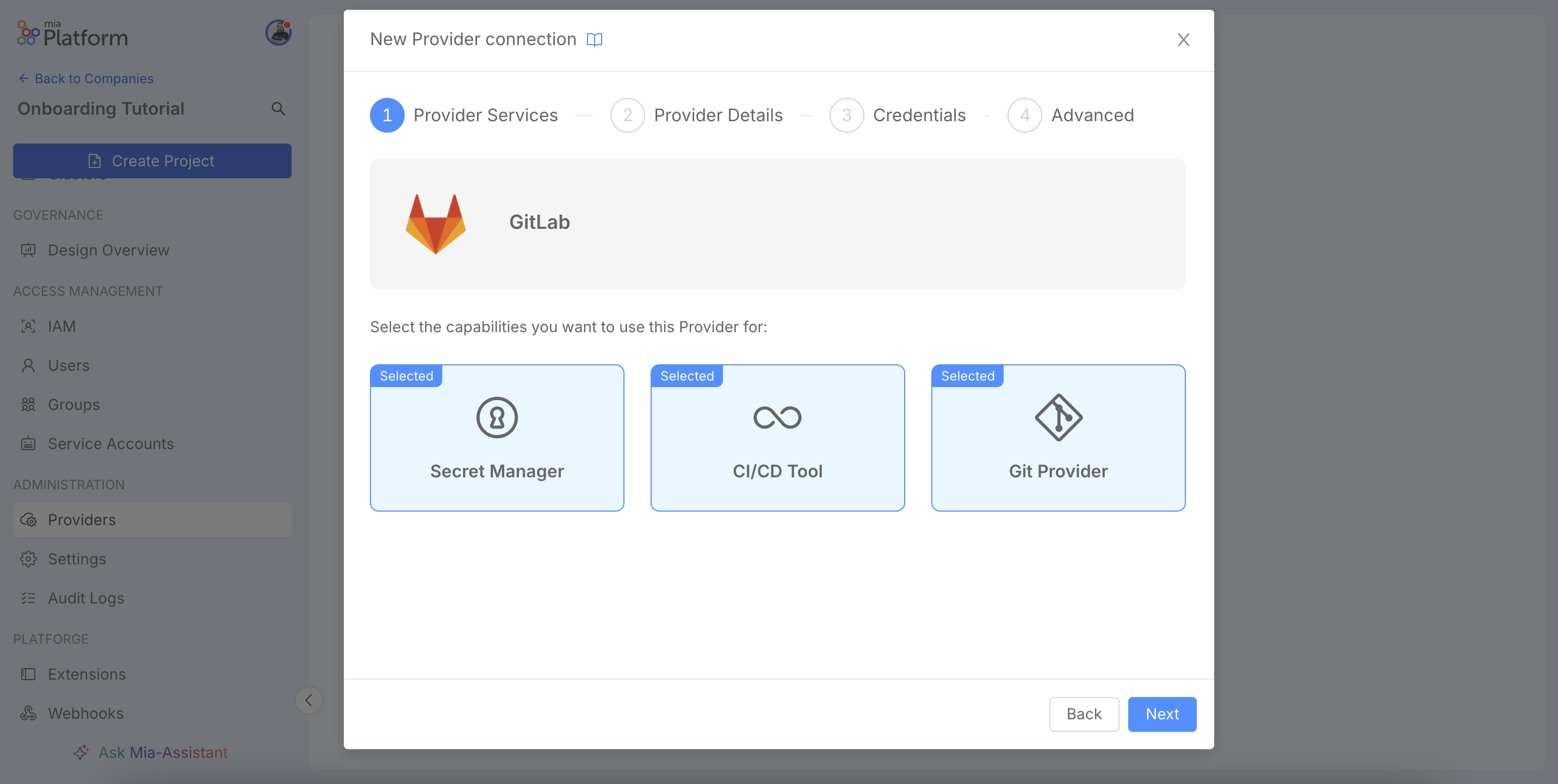 New provider connection wizard, Provider Services step, selecting capabilities.