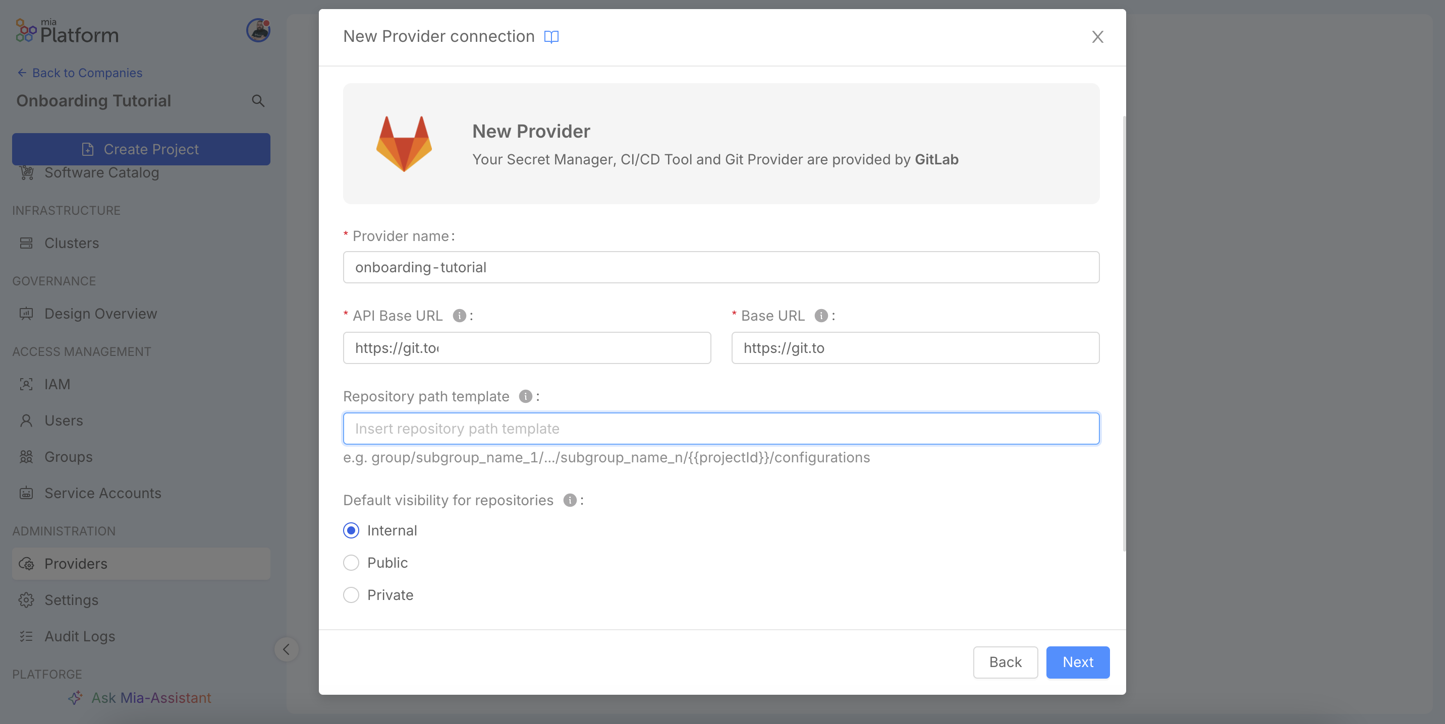 New provider connection wizard, Provider Details step.