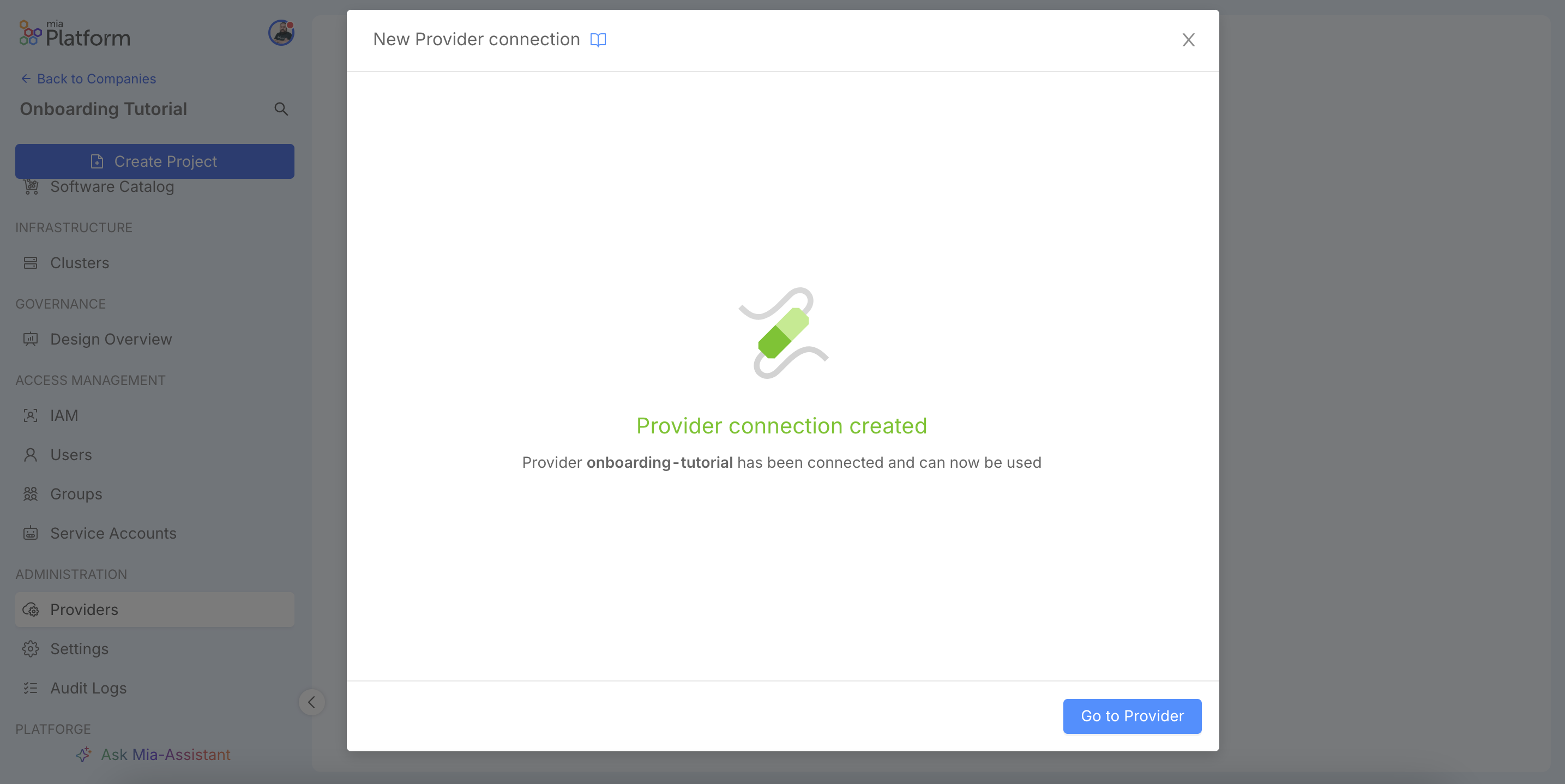 Success message confirming the provider connection.