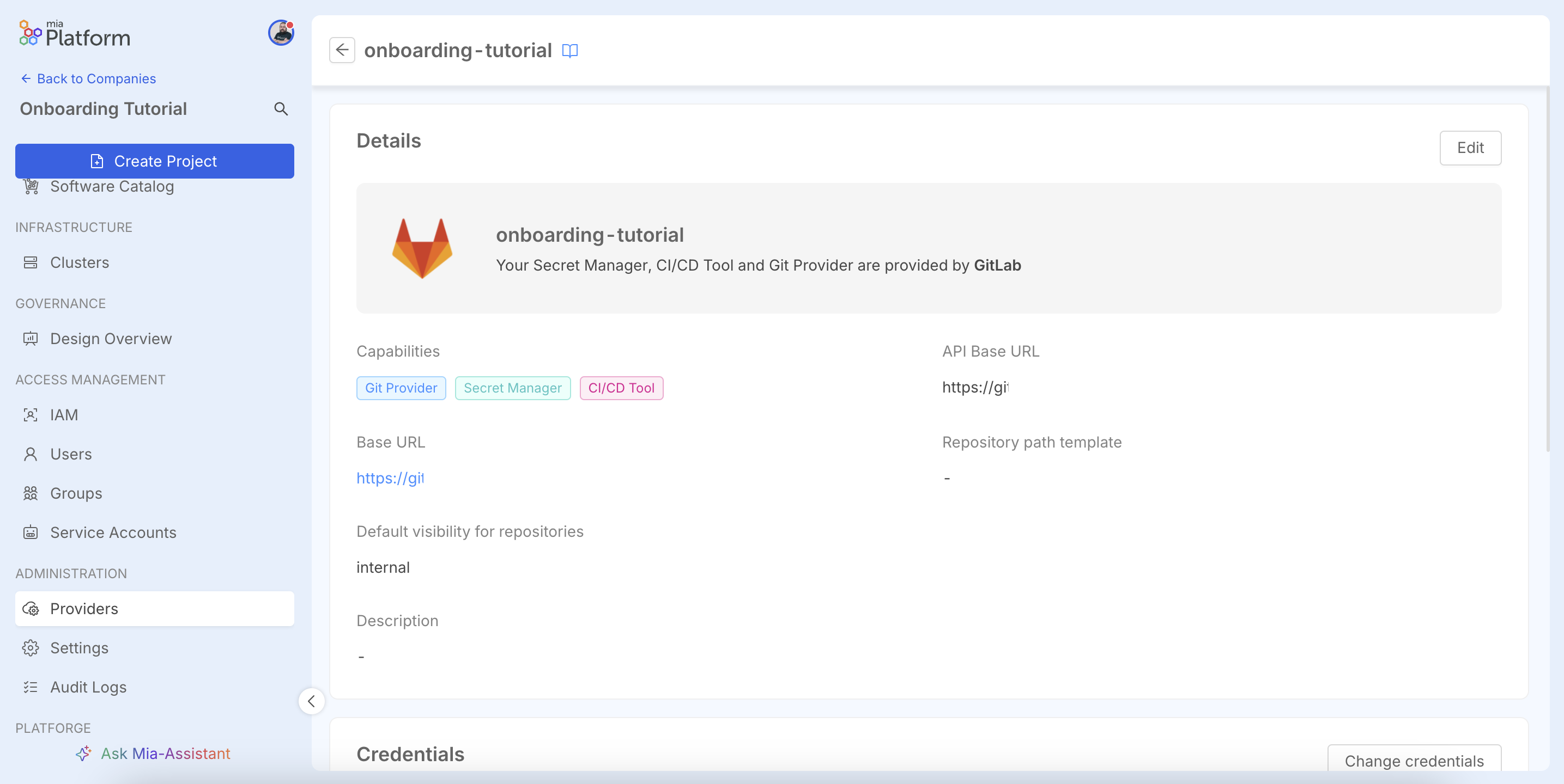 Provider details page showing the summary of the new connection.